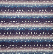 Load image into Gallery viewer, City of Starlight