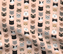 Load image into Gallery viewer, Purrfectly Pink