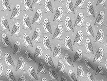 Load image into Gallery viewer, Barn Owl